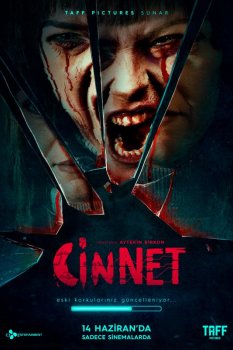 Cinnet