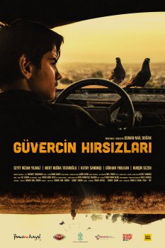 Güvercin Hırsızları