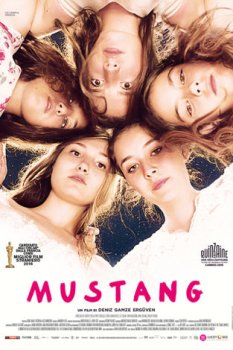 Mustang