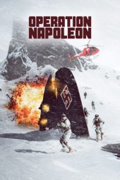 Operation Napoleon