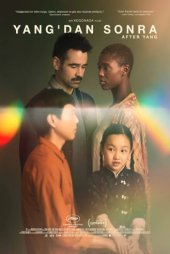 Yang'dan Sonra