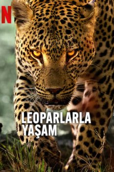 Leoparlarla Yaşam