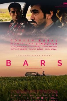 Bars
