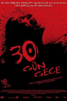 30 Gün Gece