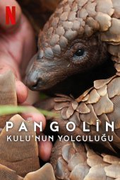 Pangolin: Kulu'nun Yolculuğu