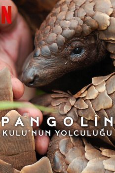 Pangolin: Kulu'nun Yolculuğu