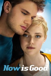 Aşk, Şimdi – Now Is Good 2012 izle