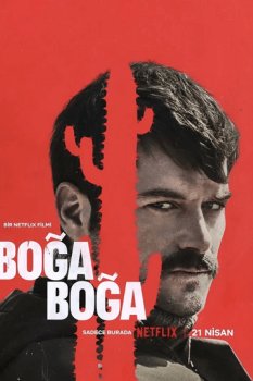 Boğa Boğa