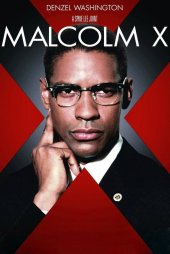 Malcolm X Türkçe Dublaj izle