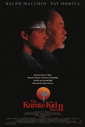 Karateci Çocuk 2 – The Karate Kid 2 izle