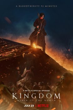 Kingdom: Ashin of the North izle