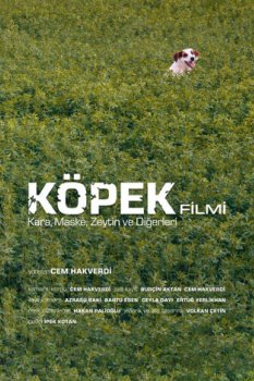 Köpek