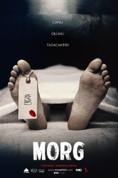 Morg