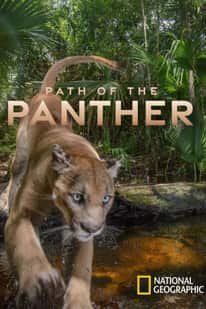Path of the Panther
