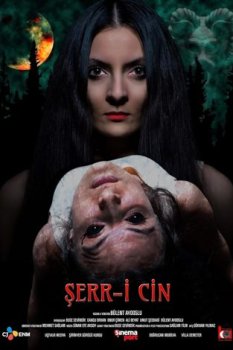 Şerr-i Cin