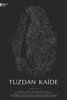 Tuzdan Kaide